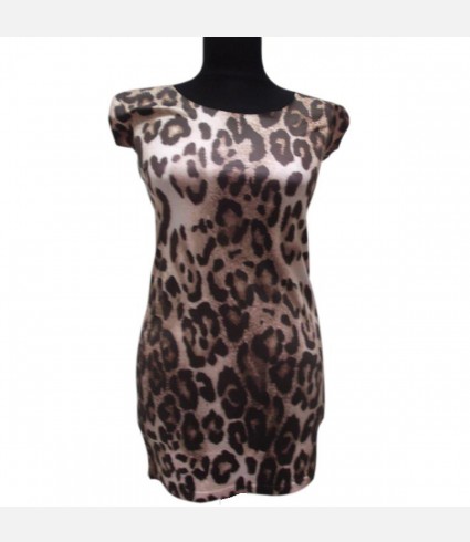 Leopard Mini Dress